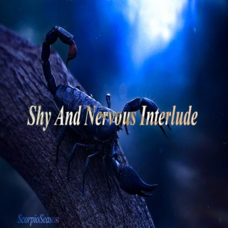 Shy and Nervous Interlude