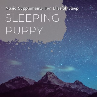 Music Supplements For Blissful Sleep