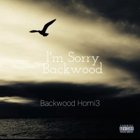 I'm Sorry Backwood | Boomplay Music