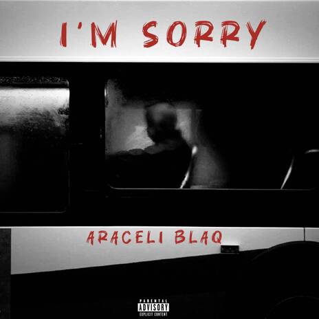 i'm sorry | Boomplay Music