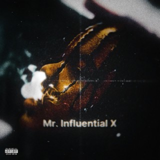 Mr. Influential X