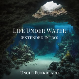 Life Under Water (extended intro)