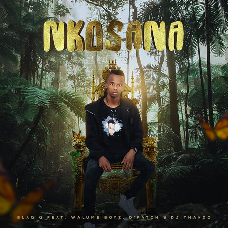 Nkosana ft. Walume Boyz, D'Patch & DJ Thando | Boomplay Music