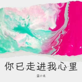 你已走进我心里 ft. 音域续曼 lyrics | Boomplay Music