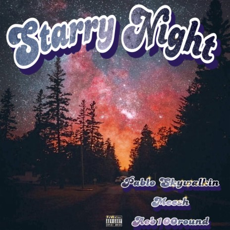 Starry Night ft. Pablo Skywalkin | Boomplay Music