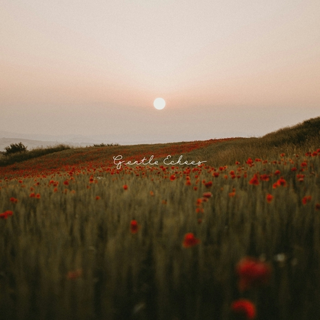 Gentle Echoes | Boomplay Music