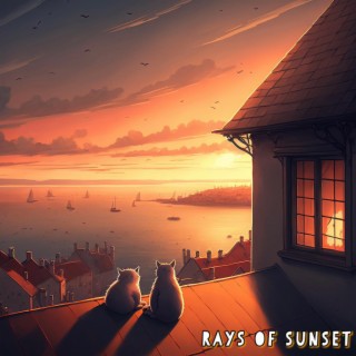 Rays of sunset