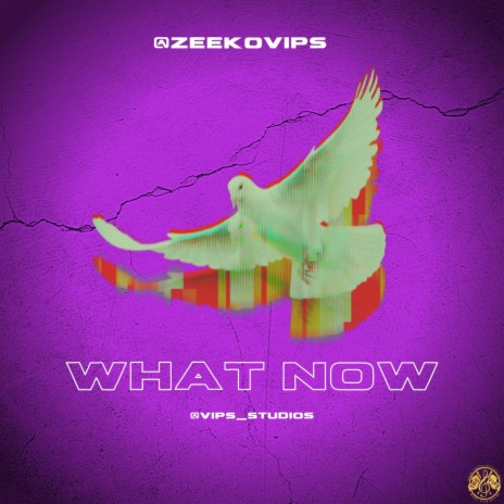 WHAT NOW | Boomplay Music