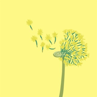 Dandelions