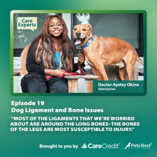 Dog Ligament and Bone Issues - Dr. Ayeley Okine