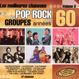 Les plus belles chansons des groupes des années 60 Volume 5