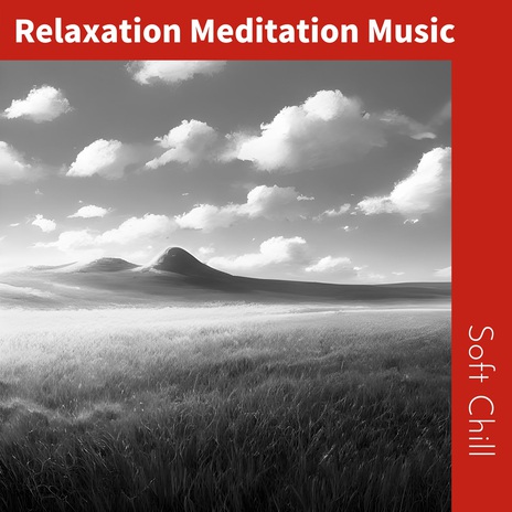 Tranquil Visions in Harmony | Boomplay Music