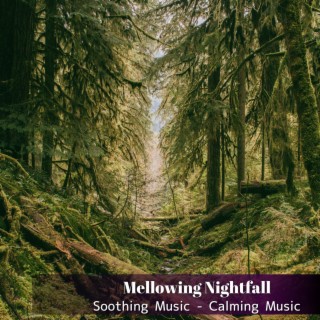 Soothing Music - Calming Music