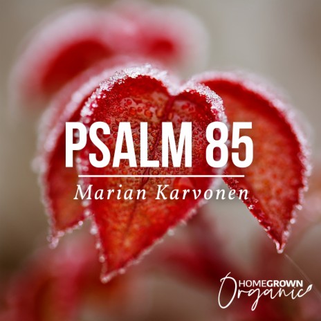 Psalm 85 | Boomplay Music