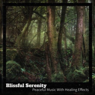 Peaceful Music With Healing Effects