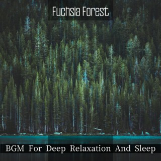 BGM For Deep Relaxation And Sleep