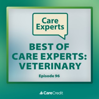 Best of Care Experts - Veterinary