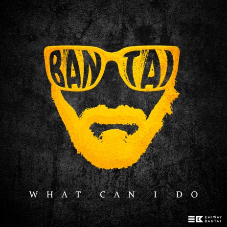 What Can I Do | Boomplay Music