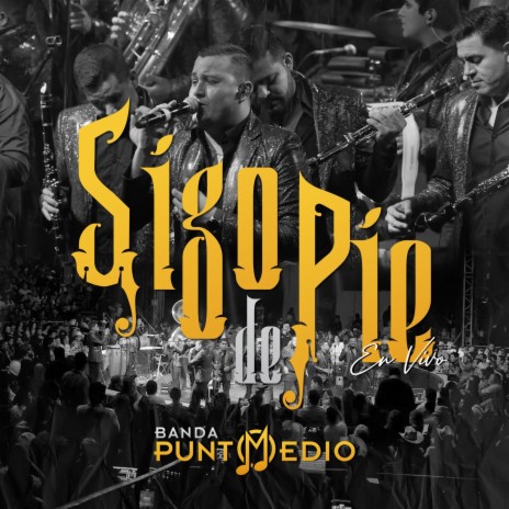 Sigo De Pie (En Vivo) | Boomplay Music