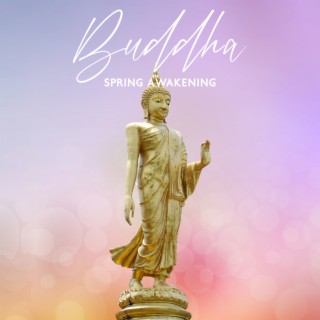 Buddha Spring Awakening: Tranquil Healing Music for Meditation & Zen, Inner Reflection, Spiritual Insight, Mental Awareness, Positive Mindset