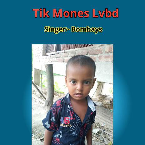 Tik Mones Lvbd | Boomplay Music