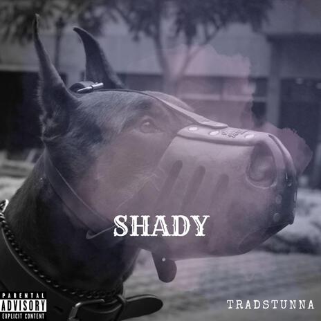 SHADY | Boomplay Music