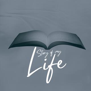 Story Of My Life lyrics | Boomplay Music