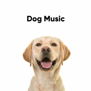 Dog Music: Calming Piano and Soothing Sounds