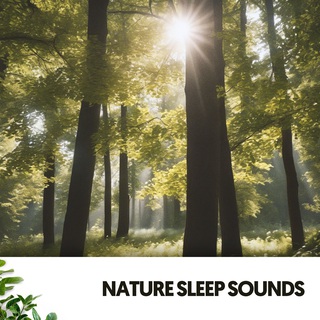 Nature Sleep Sounds: Dreaming in Harmony