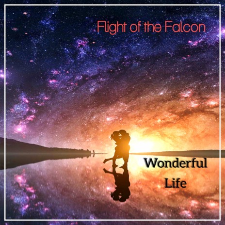 Wonderful Life | Boomplay Music