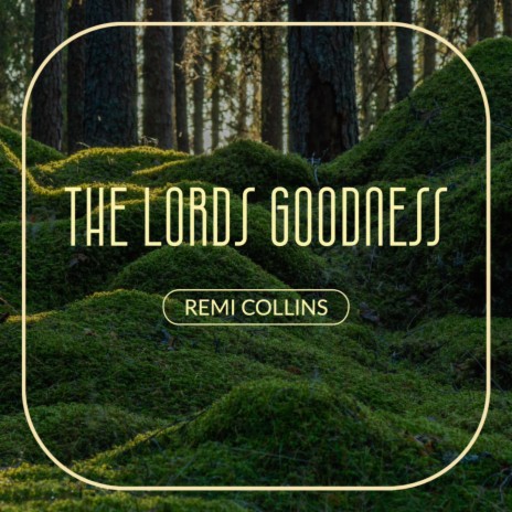I have seen the Lords Goodness (Violin Version) | Boomplay Music