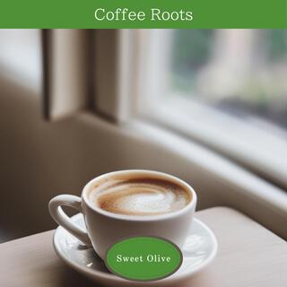 Coffee Roots