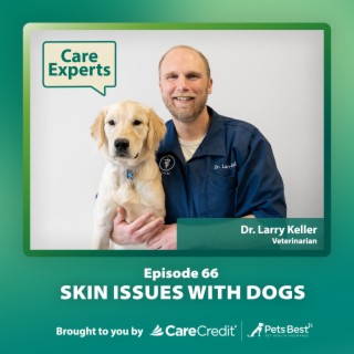 Skin Issues with Dogs - Dr. Larry Keller