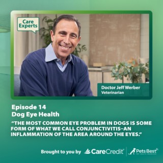 Dog Eye Health - Dr. Jeff Werber