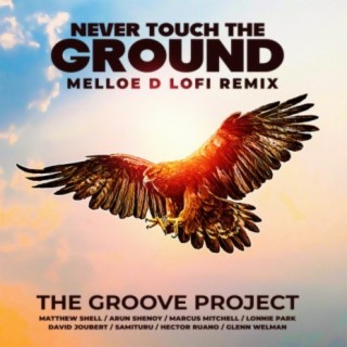 Never Touch The Ground (Melloe D LoFi Remix)