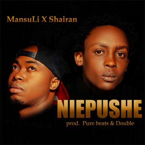 Niepushe ft. Shairan | Boomplay Music