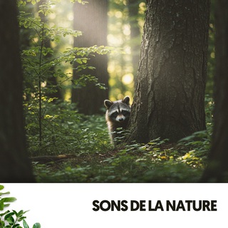 Sons de la Nature: Mélodies de la Terre