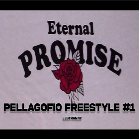 Pellagofio Freestyle #1 | Boomplay Music