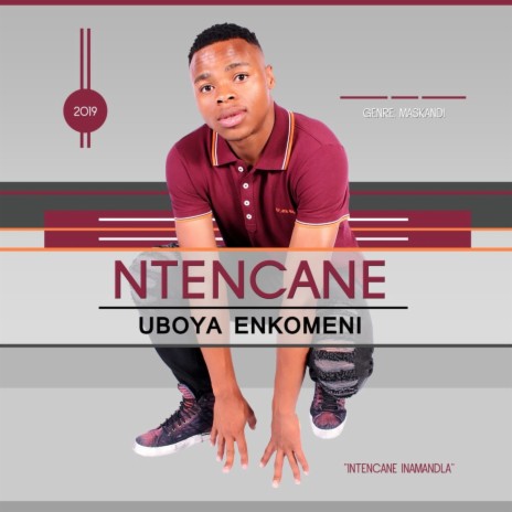 Njengempukane | Boomplay Music