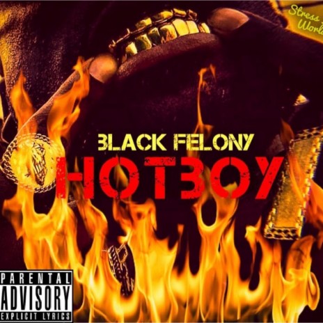 HotBoy | Boomplay Music