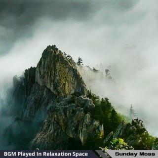 BGM Played In Relaxation Space