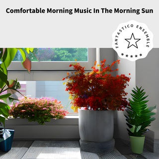 Comfortable Morning Music In The Morning Sun