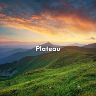 Plateau