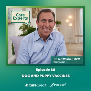 Dog and Puppy Vaccines - Dr. Jeff Werber