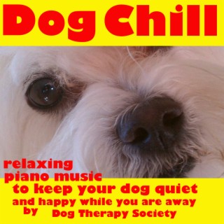 Dog Chill Relaxing Piano Music to Keep Your Dog Quiet and Happy While You Are Away