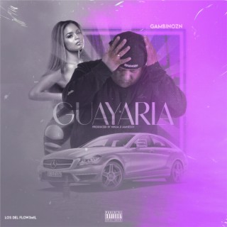 Guayarla lyrics | Boomplay Music