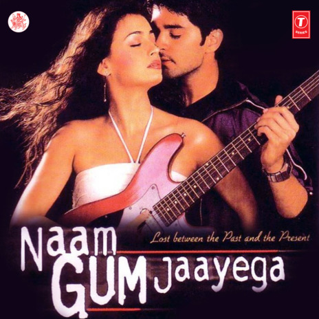 Hamein Tumse Hai Pyar ft. Udit Narayan & Anand Milind | Boomplay Music