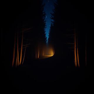 Lost in the Dark Forest lyrics | Boomplay Music