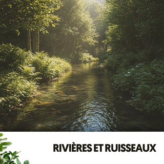 Rivières et Ruisseaux: Harmonies de la Rivière