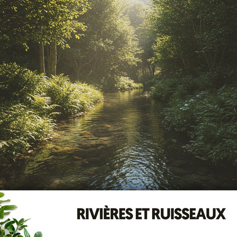 Les échos de la tranquillité ft. Rivers and Streams & Sons de la nature